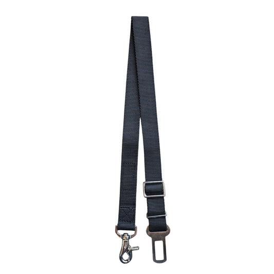 Dog Seat Belt